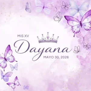 misxv-fernanda.invdigchic.com